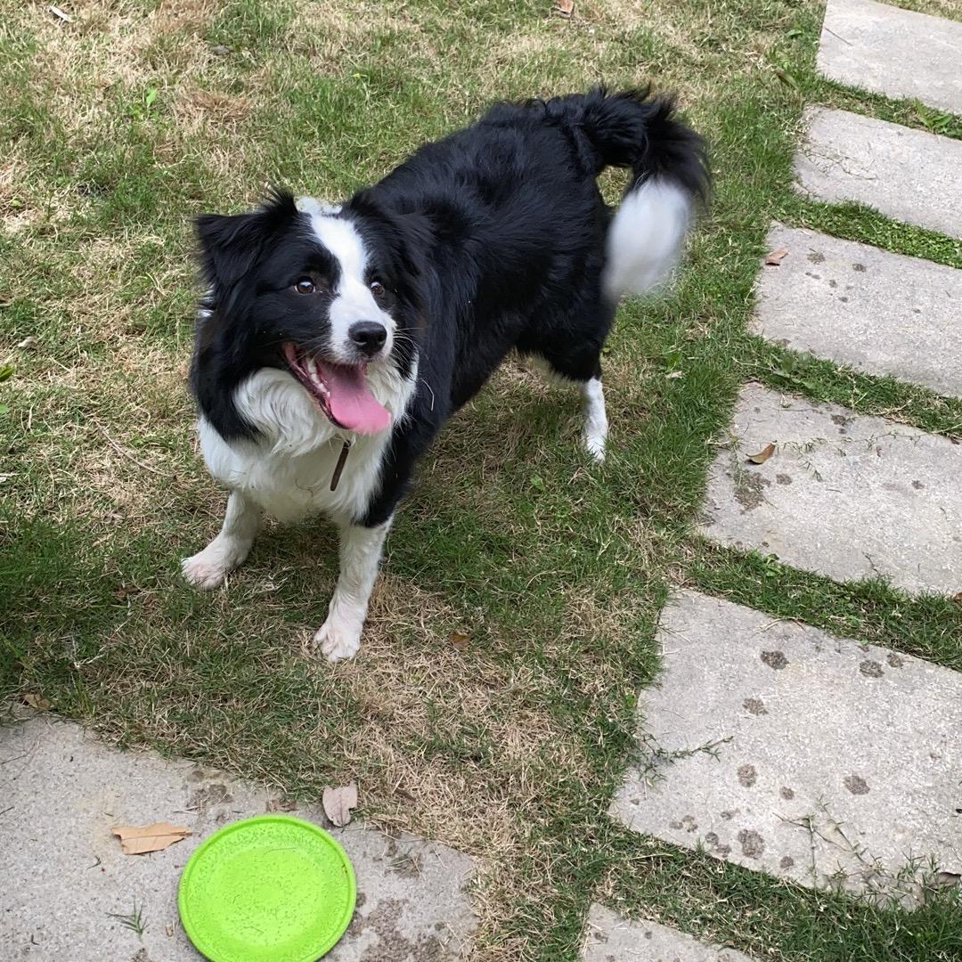 自愚自乐睡得饱