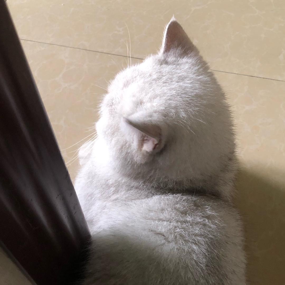 Ooto来杯冰美式