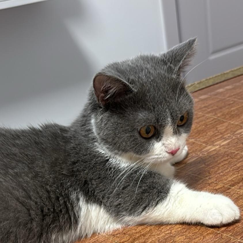 @花花吖🥀এ᭄