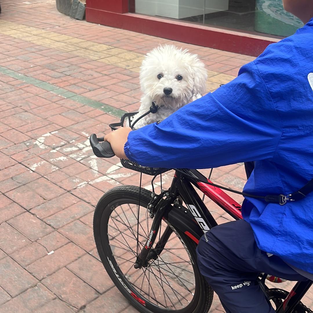 不二