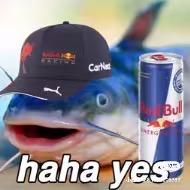 荷兰国脚维斯塔潘