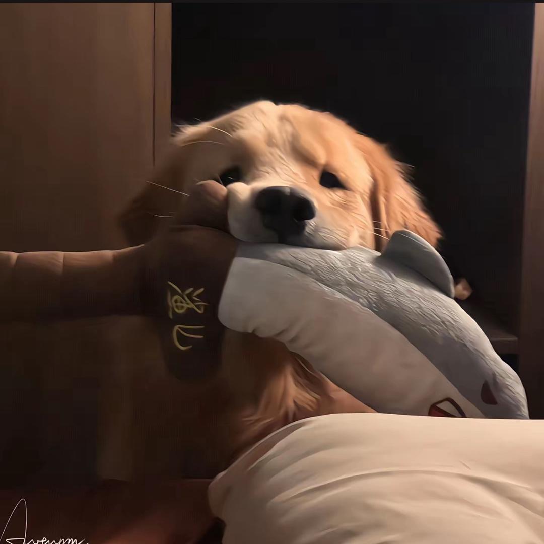 𝙆𝙞𝙩𝙩𝙮