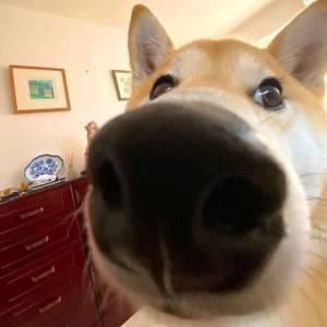 辽宁车银优
