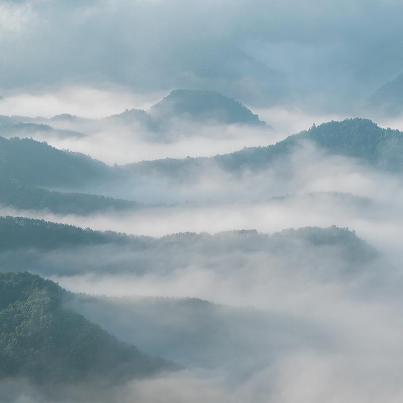 风烟净视界（原创）