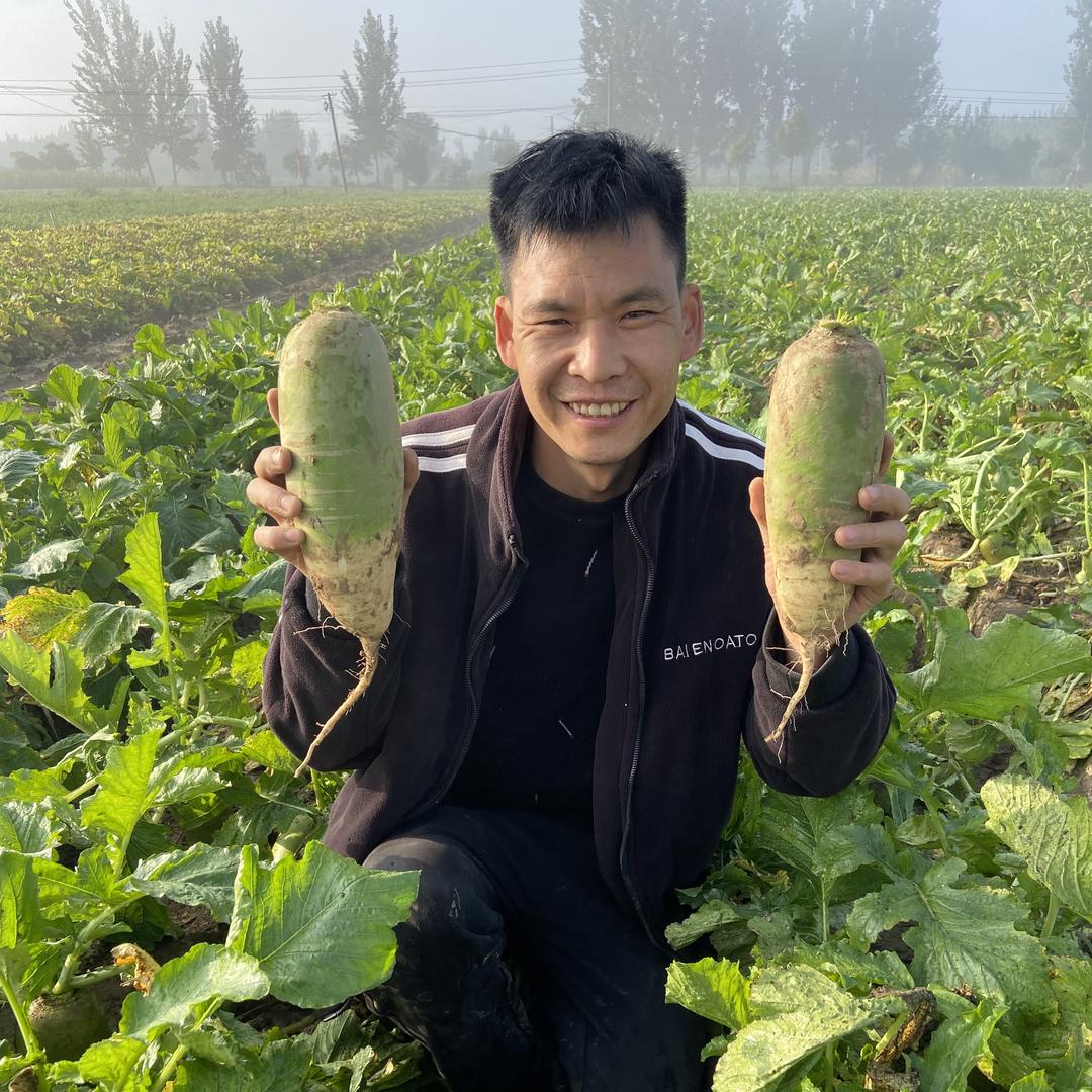 茗臻果蔬