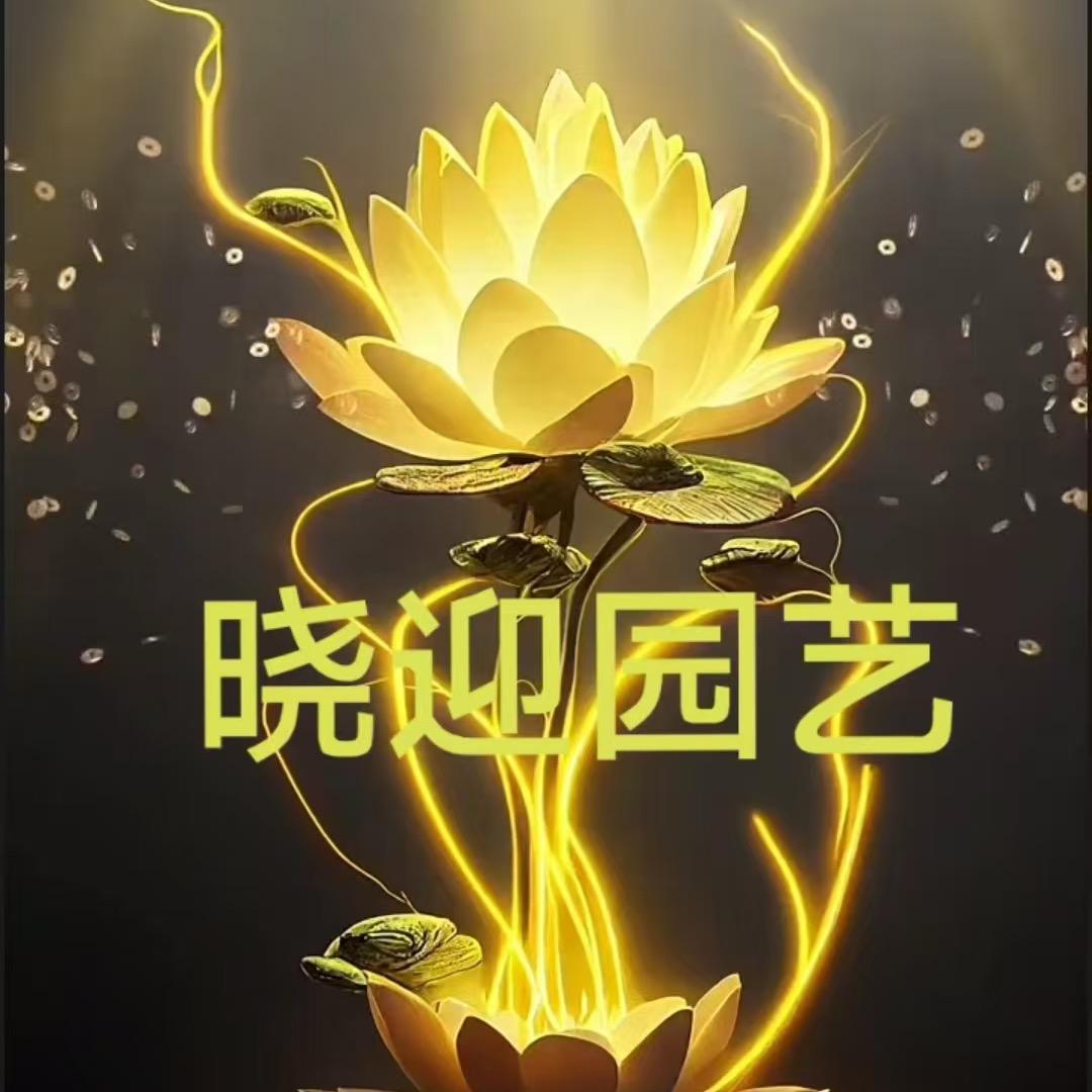 晓迎园艺