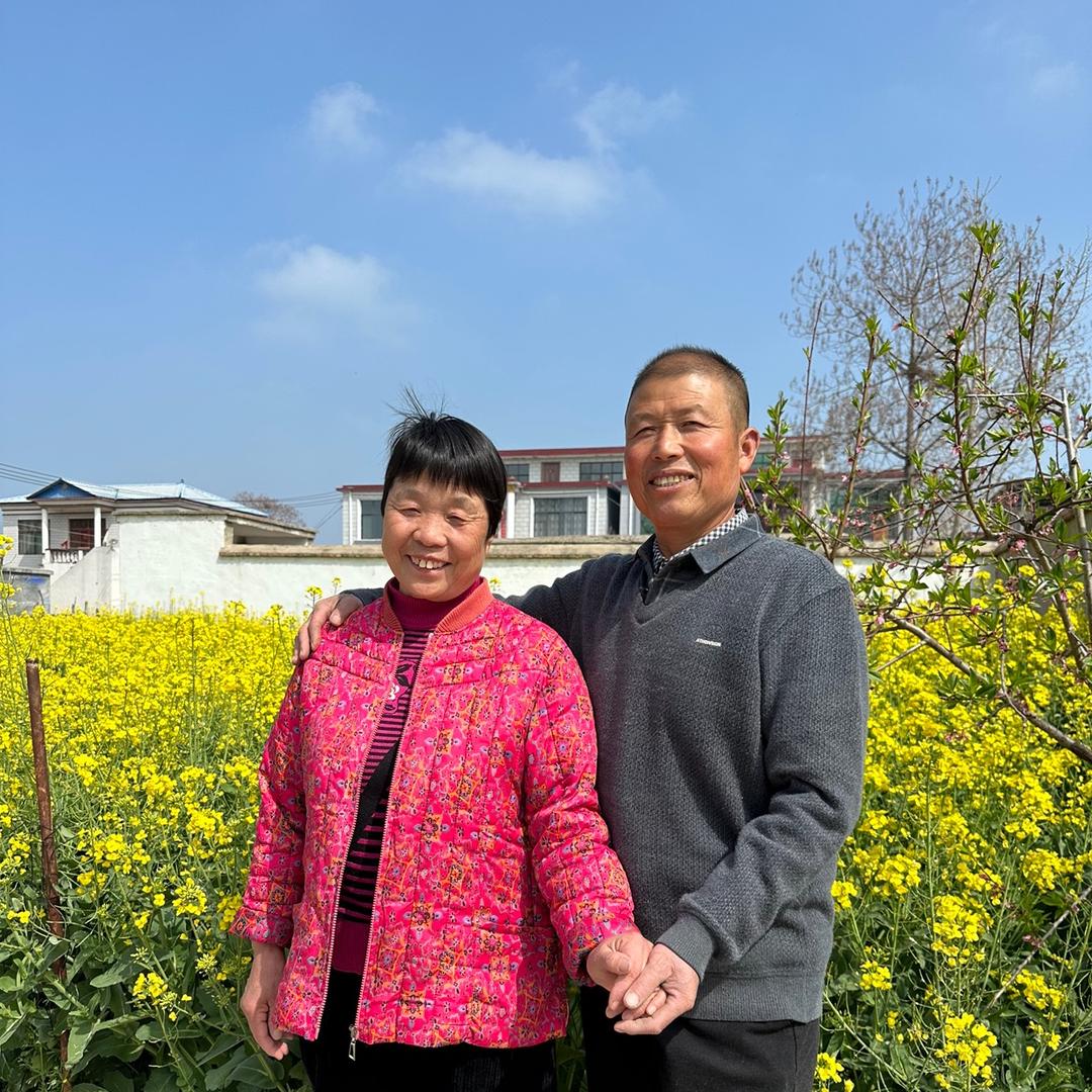 乡村羊气人