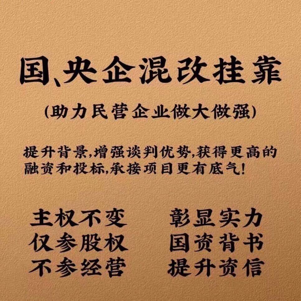 央国企混改-张总