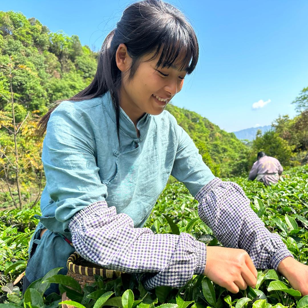陈冬妹