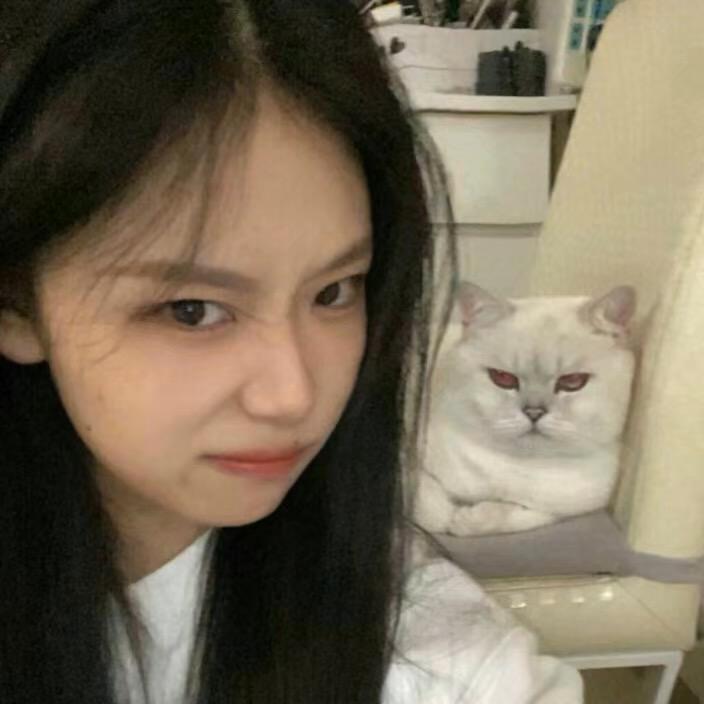 小朱TK跨境（鼎盛无忧）