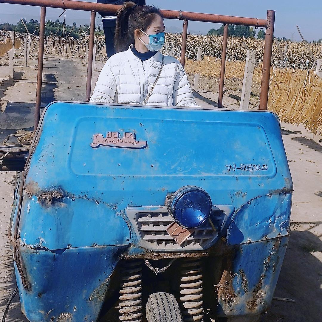 建龙乡墅｜莎莎