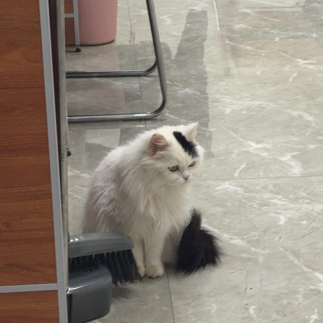 青春如诗