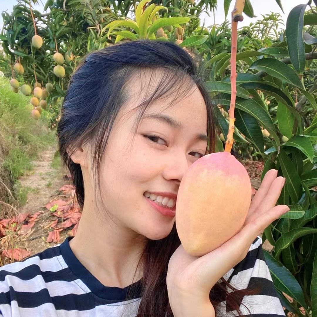 芒果供应童童