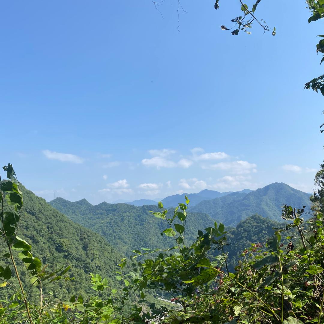 寻味大秦岭
