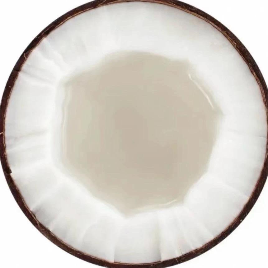 椰汁🥥