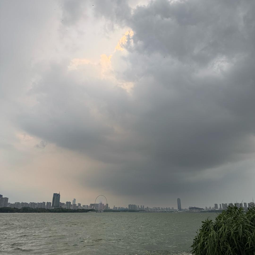 不是高尔夫教练