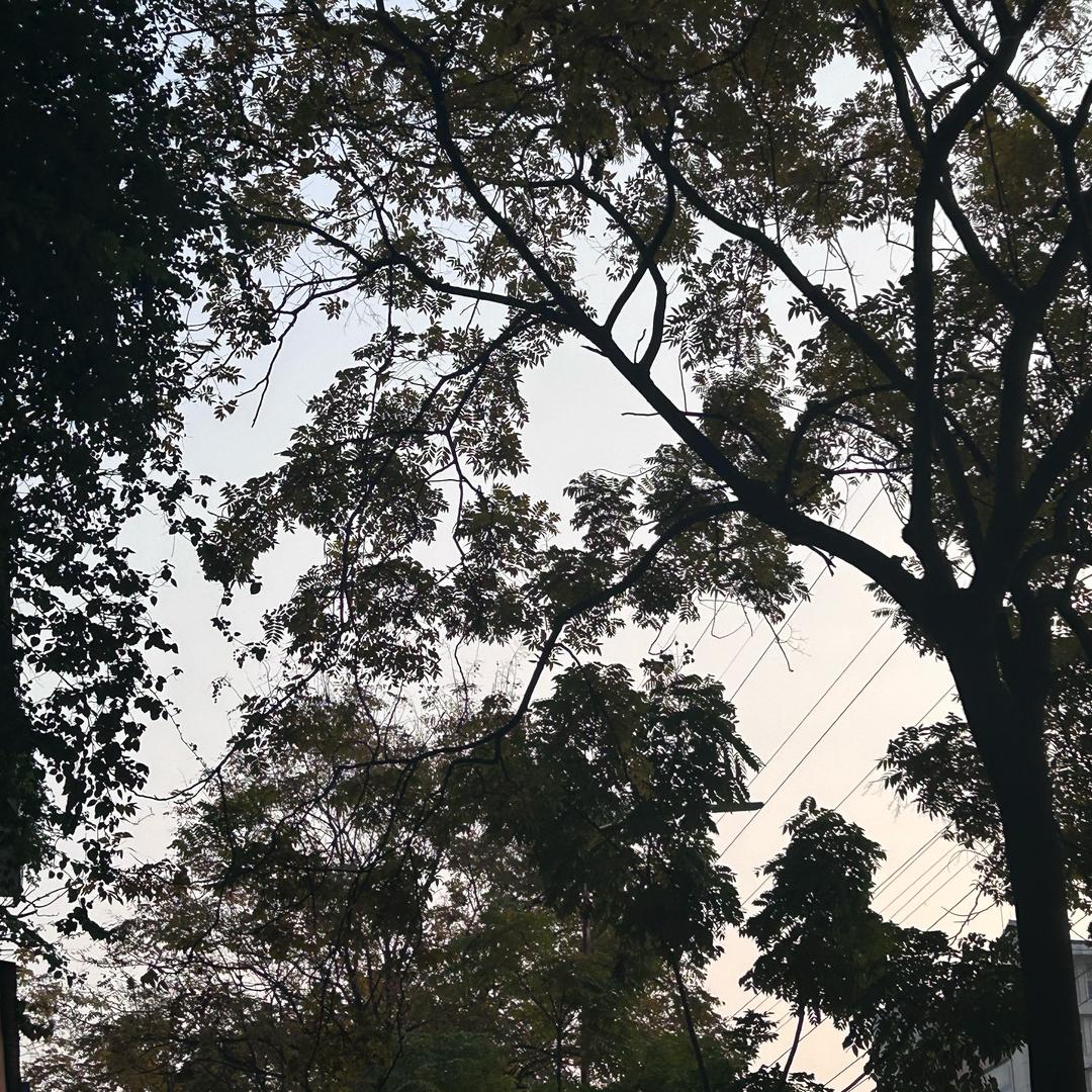 用户2379430718363