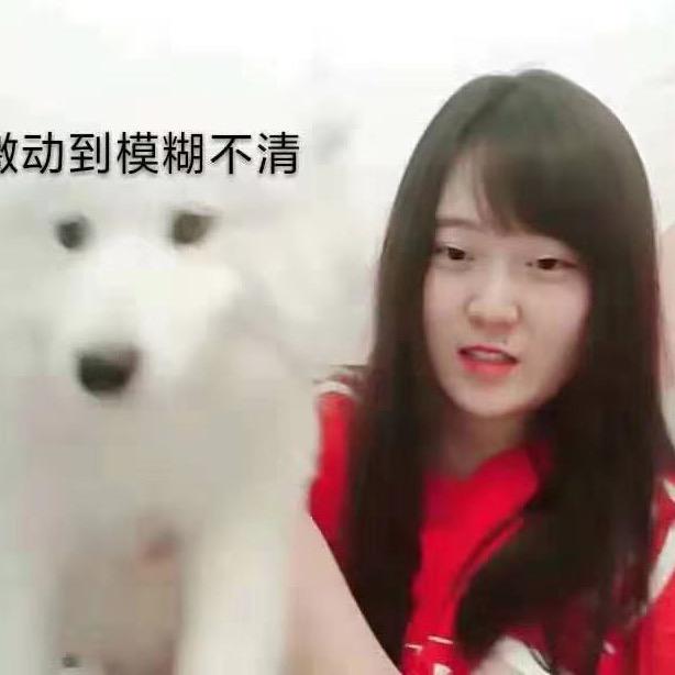 +娃娃满分数学