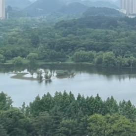 杜拉妮运动装备旗舰店