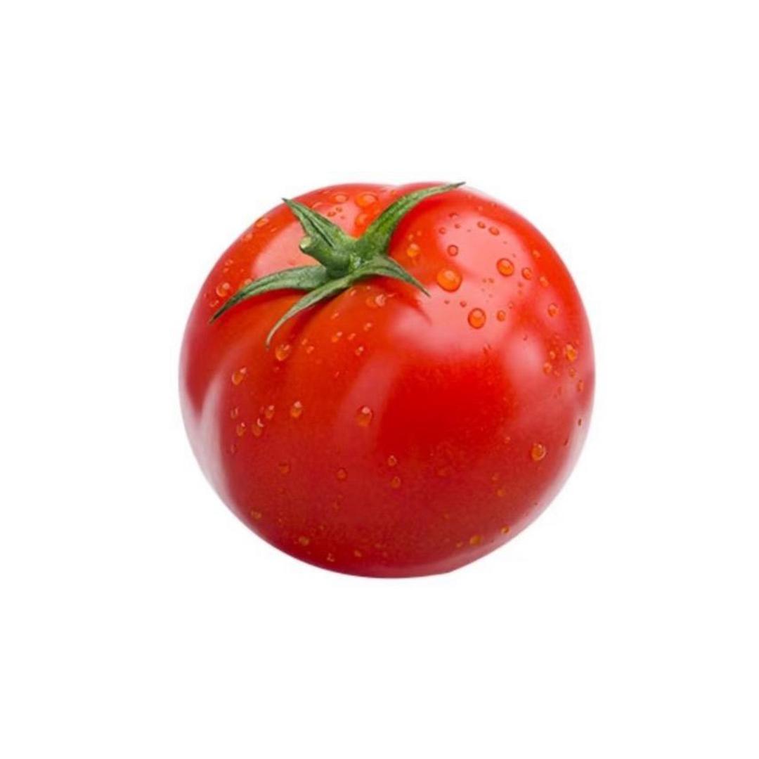 琳子
