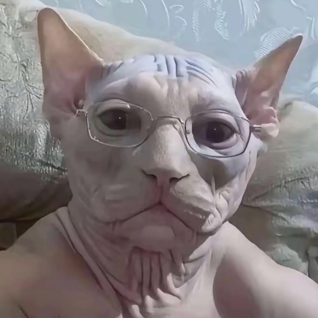 猪有蹄