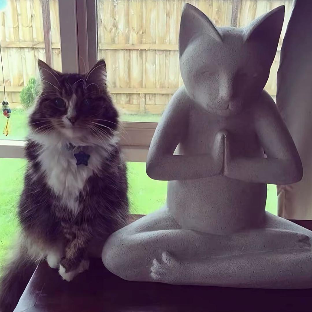 有几回细水长流