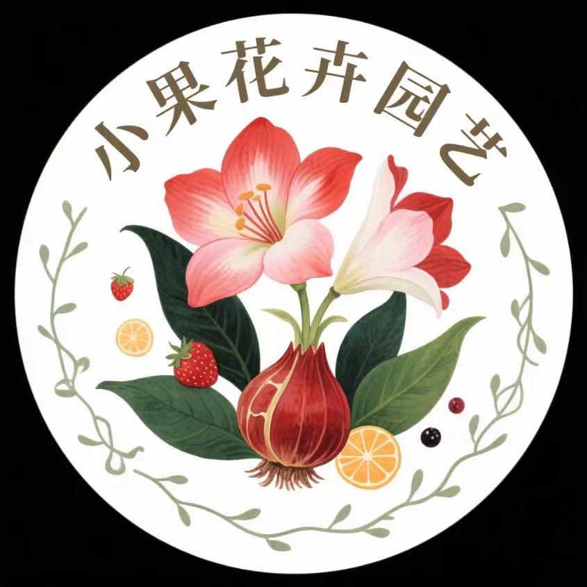 小果花卉园艺朱顶红