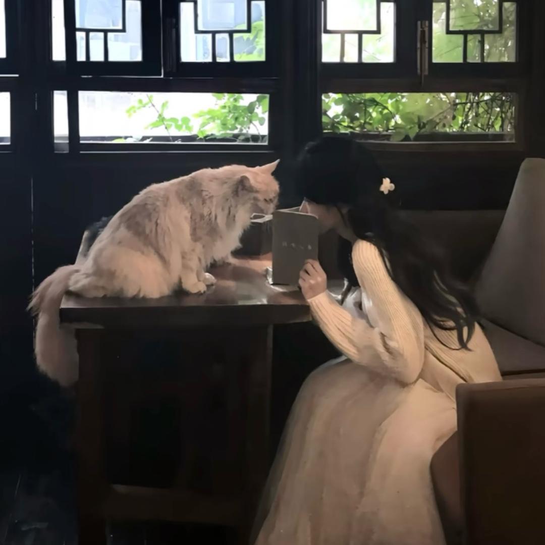 小如要开心