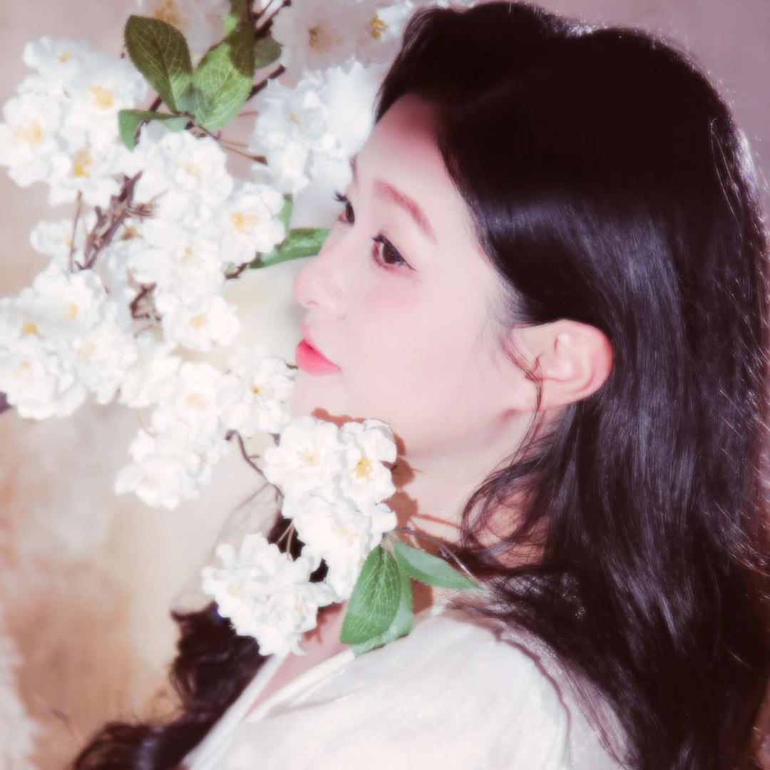 迪迪QQ