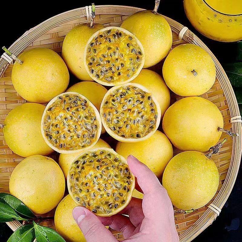 释迦果【果园直发】