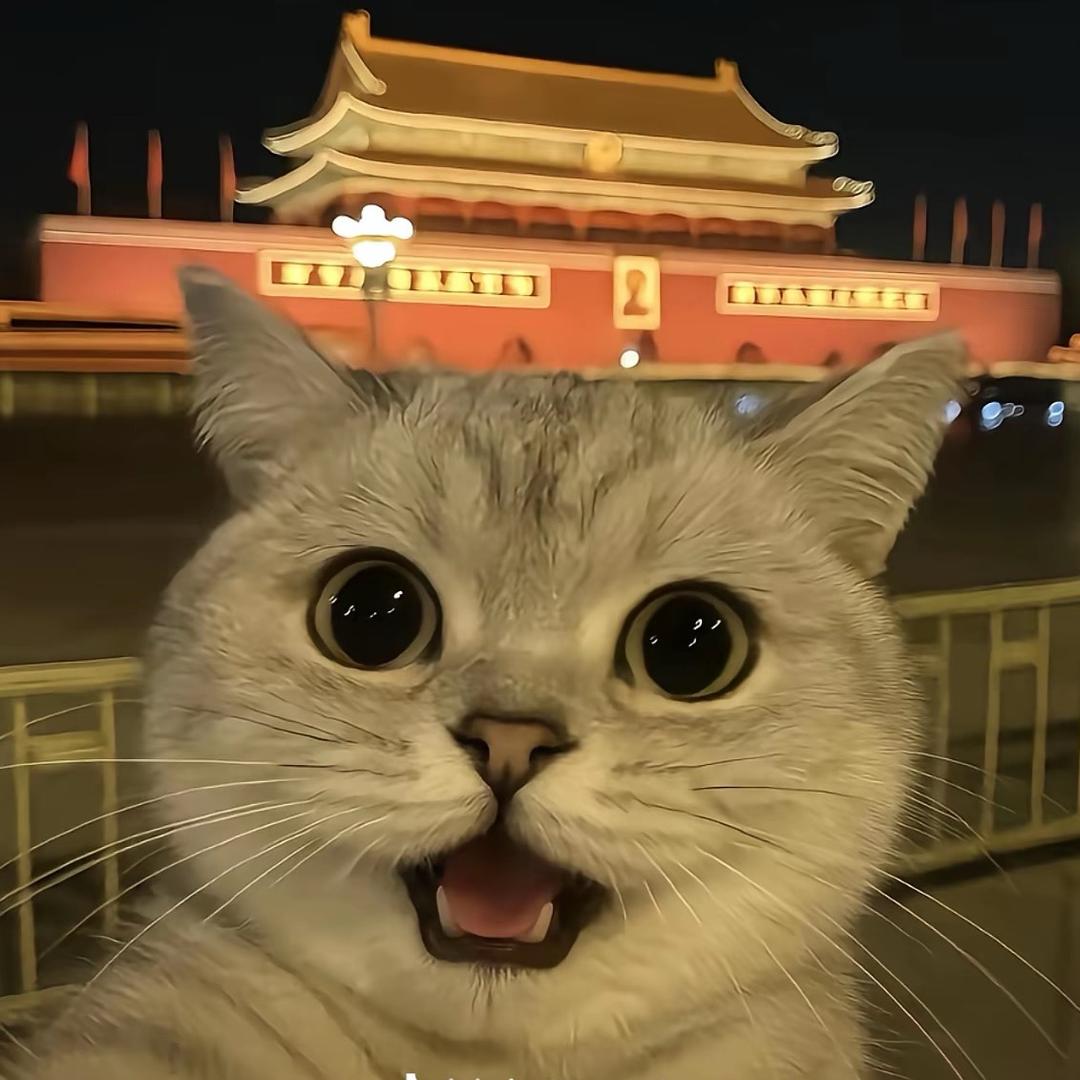 散养走地鸡