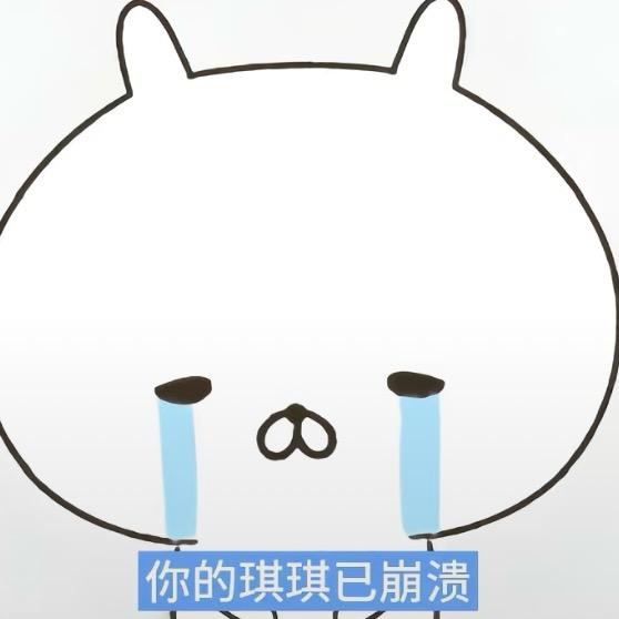 琪琪骑士