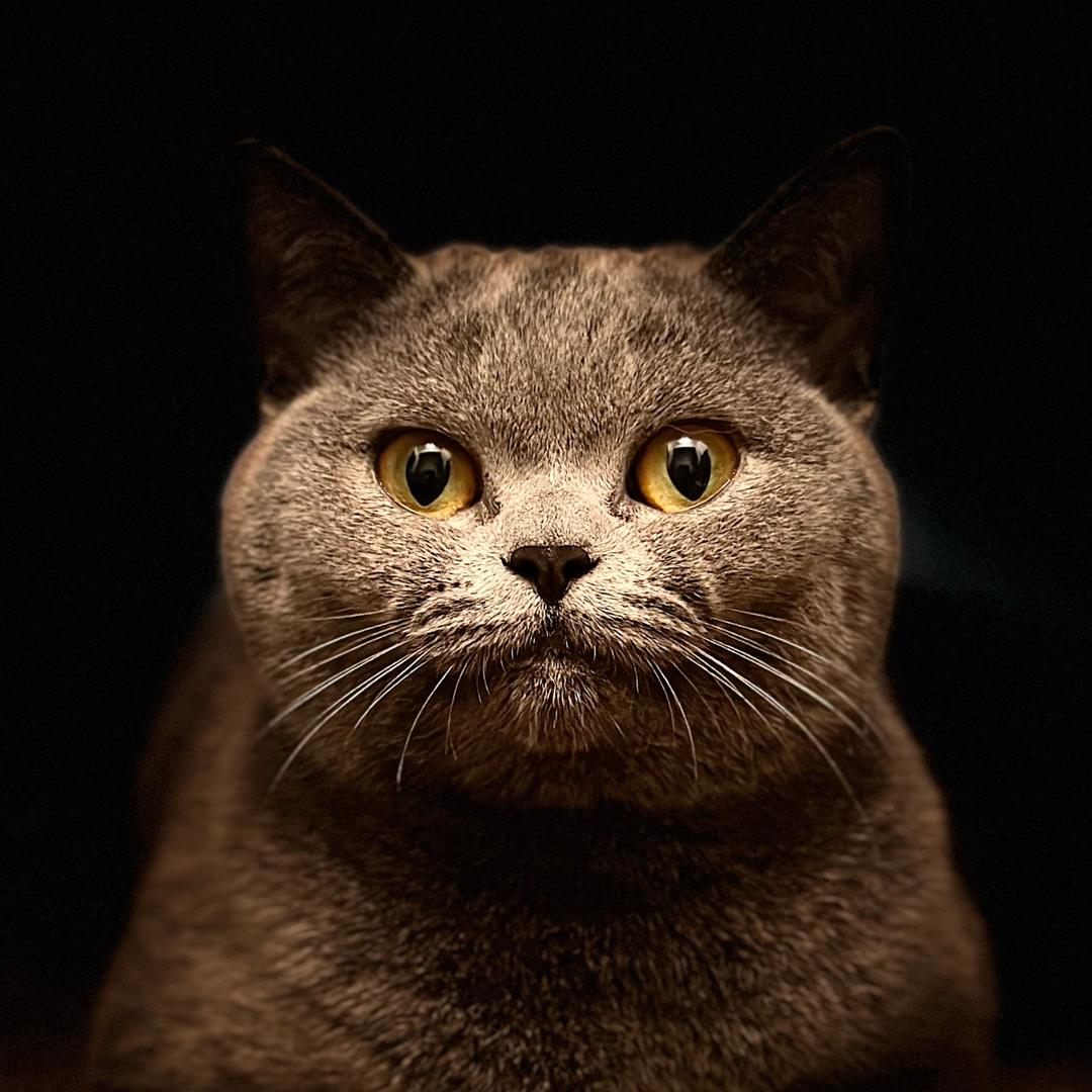 姐夫开门我是我姐