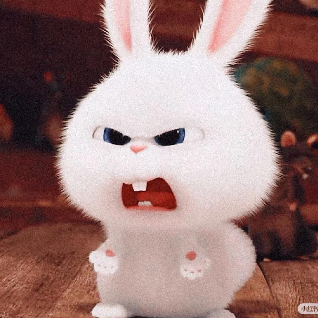 暴躁卷毛兔兔