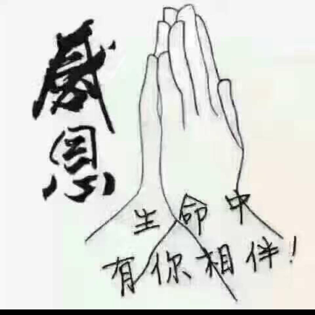 简单y。