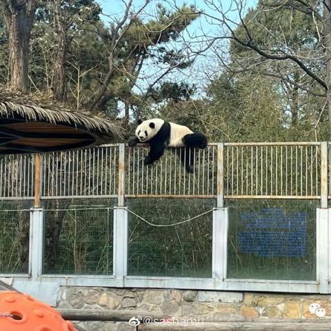 太白云庐—刘琥