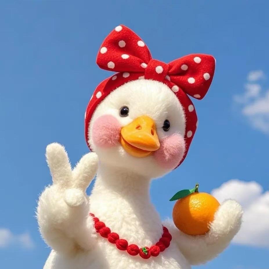 沛县路通驾校小朱朱