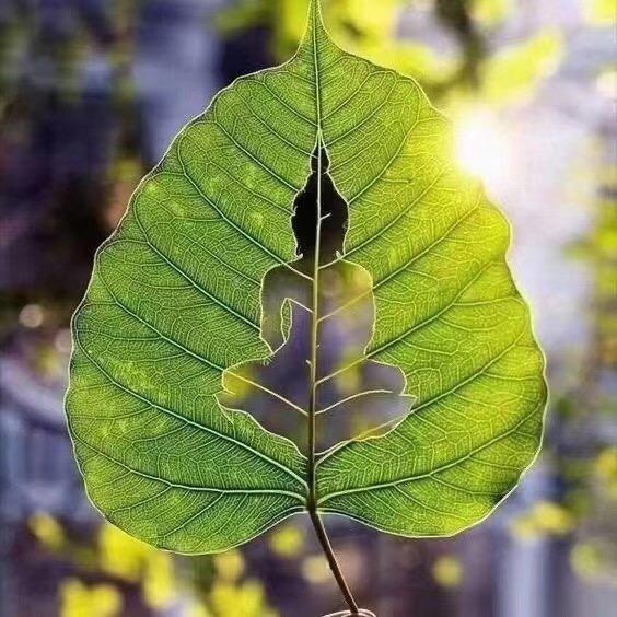 中山黄金回收