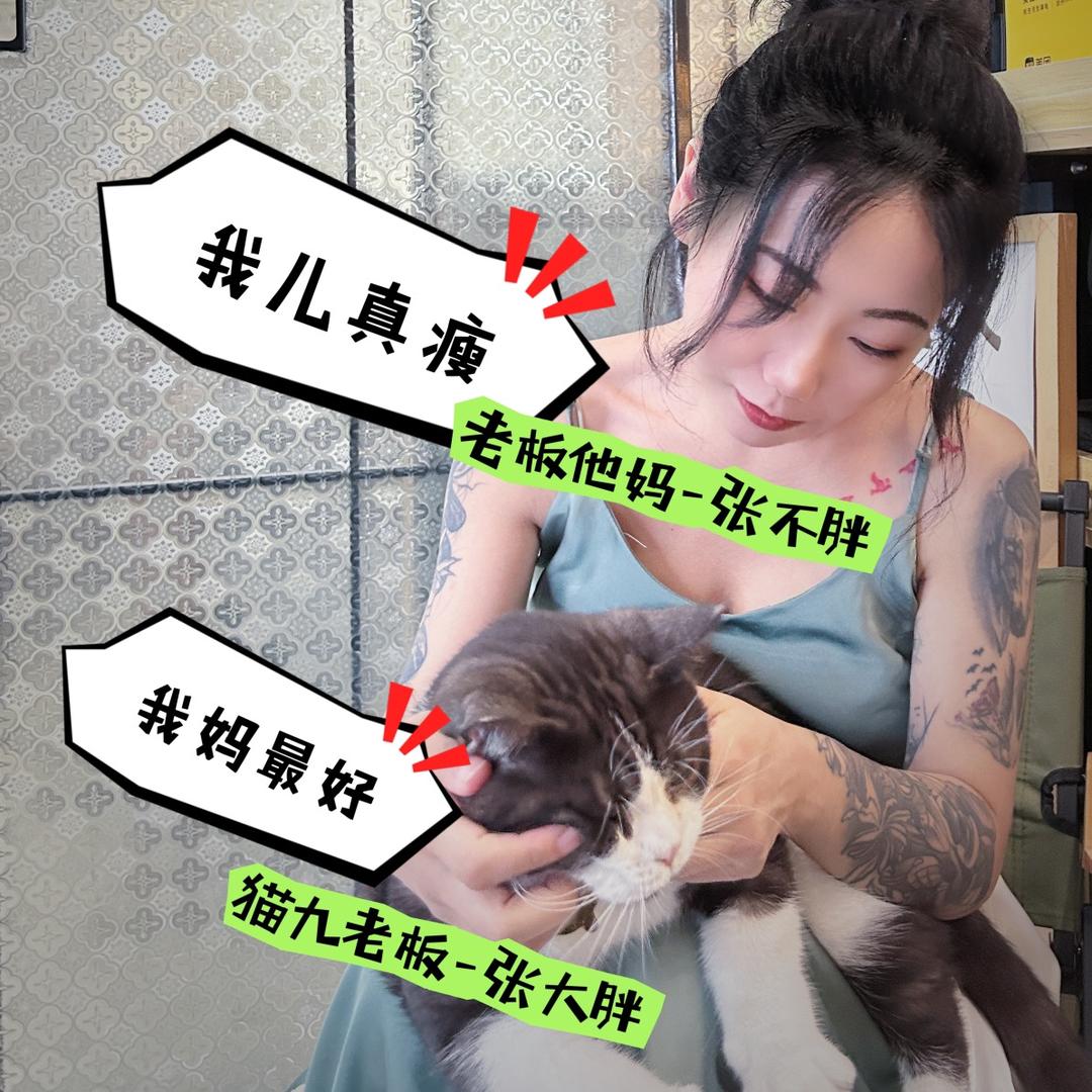 猫九｜一个小猫的理想国
