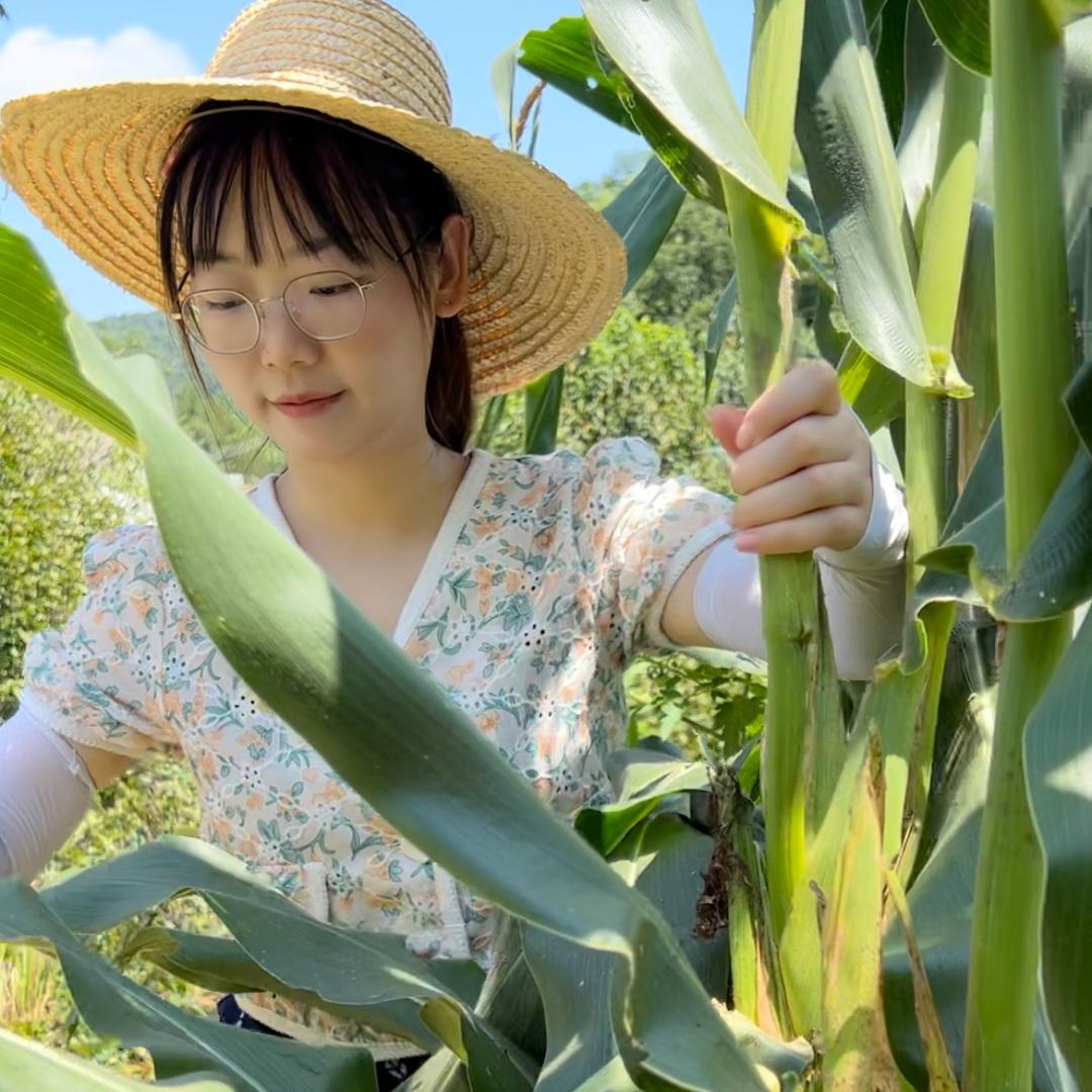 小陈姑娘在乡下