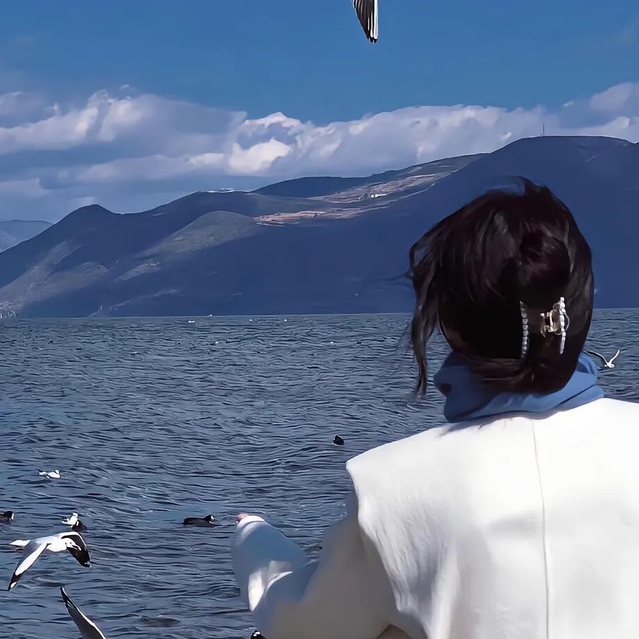 杉杉爱旅行