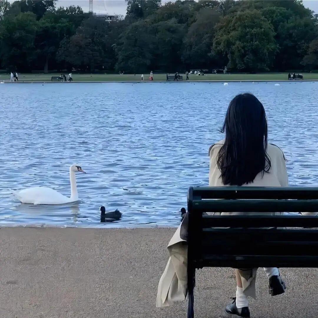 小盆友-🌷（私）