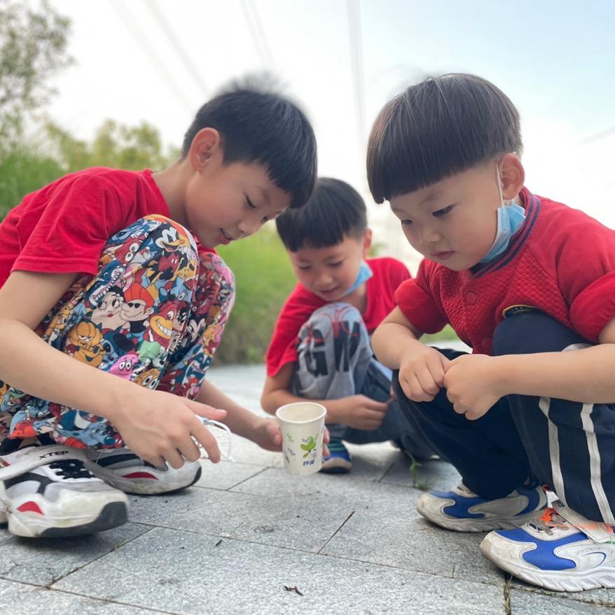 安恩宣宝贝