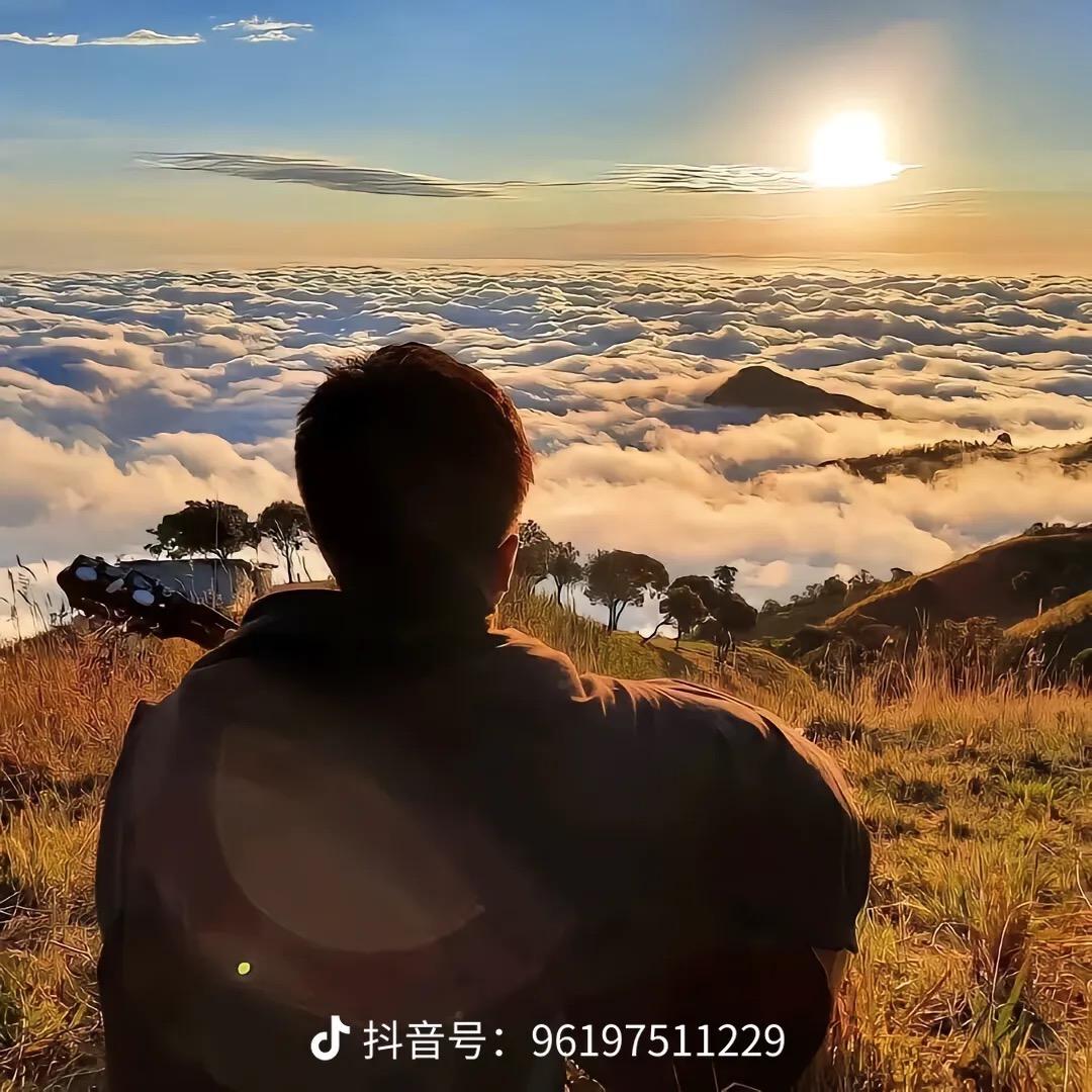 盐焗小星球O