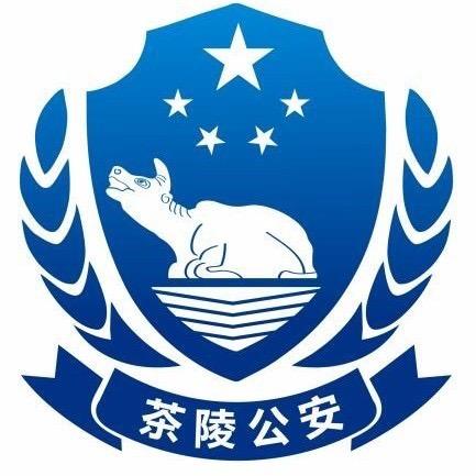 茶陵公安