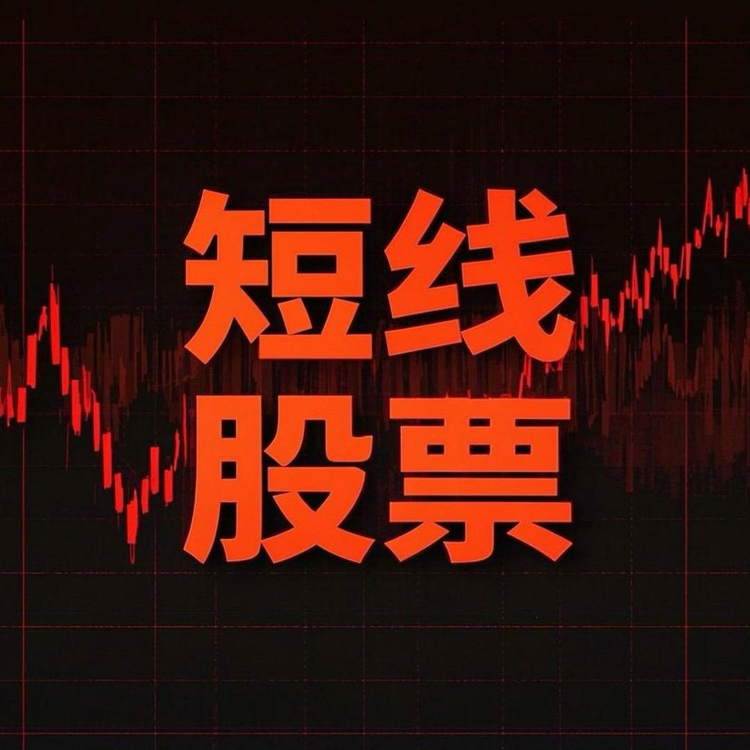 老赵打版