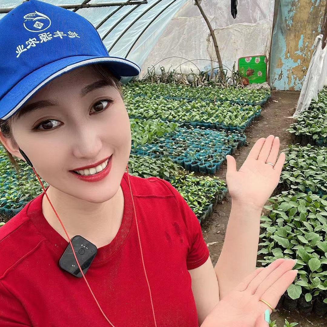 姜蕾说三农