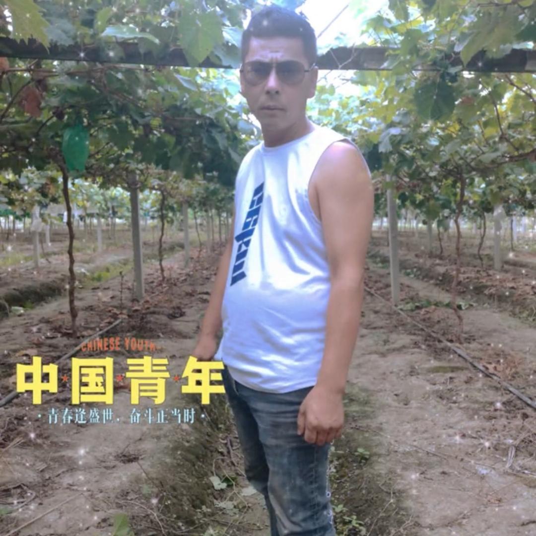 阳光晴王葡萄🍇