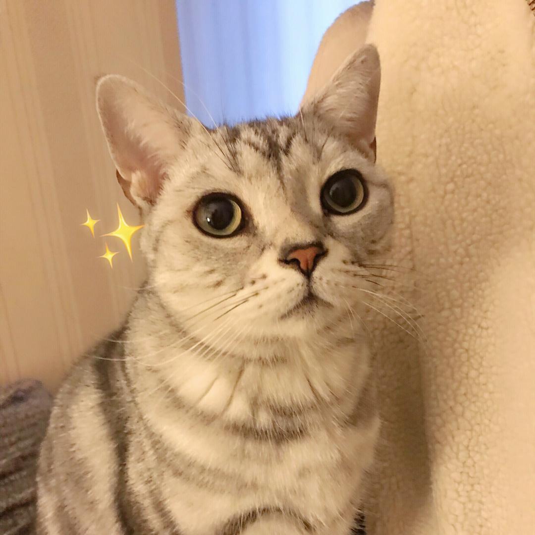 八部说财经@抖音