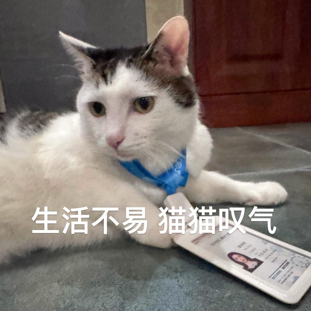 人间极品赵美丽